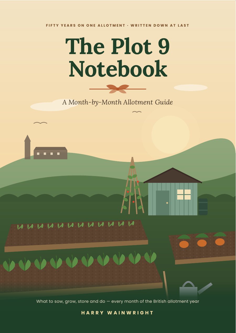 Front cover of The Plot 9 Notebook: an illustrated allotment with a green shed, bean canes and raised beds at sunset.